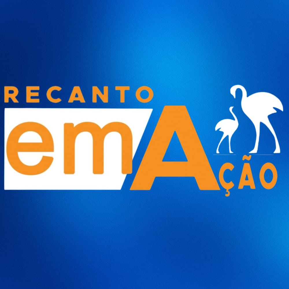 Instagram Recanto em Ação